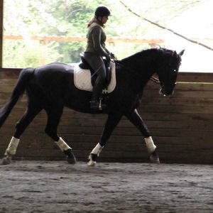 Meet your Posher, Morgan